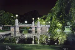 Birds enjoying the Evening at the Public Garden, Boston _ SOLD